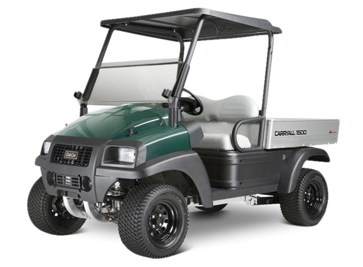 Will A Golf Cart Work?